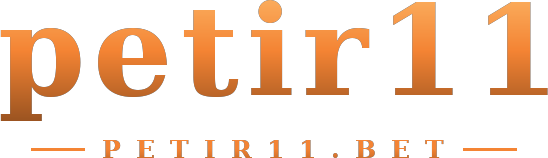 petir11 logo